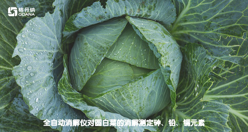 全自動消解儀對圓白菜的消解測定砷、鉛、鎘元素