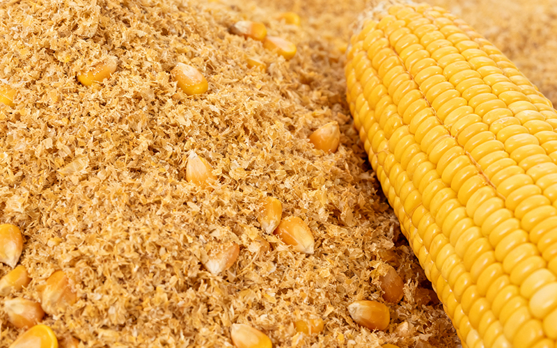 免水全自動(dòng)凱氏定氮法測定玉米麩的含氮量